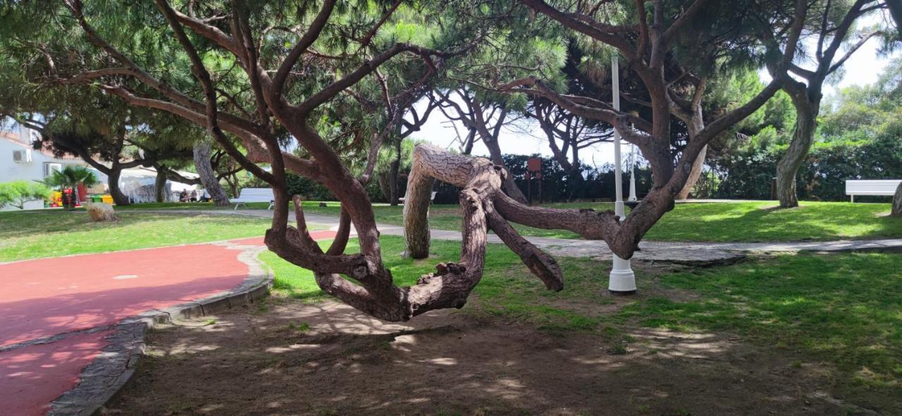 Rota Atlantico Apartment エクステリア 写真